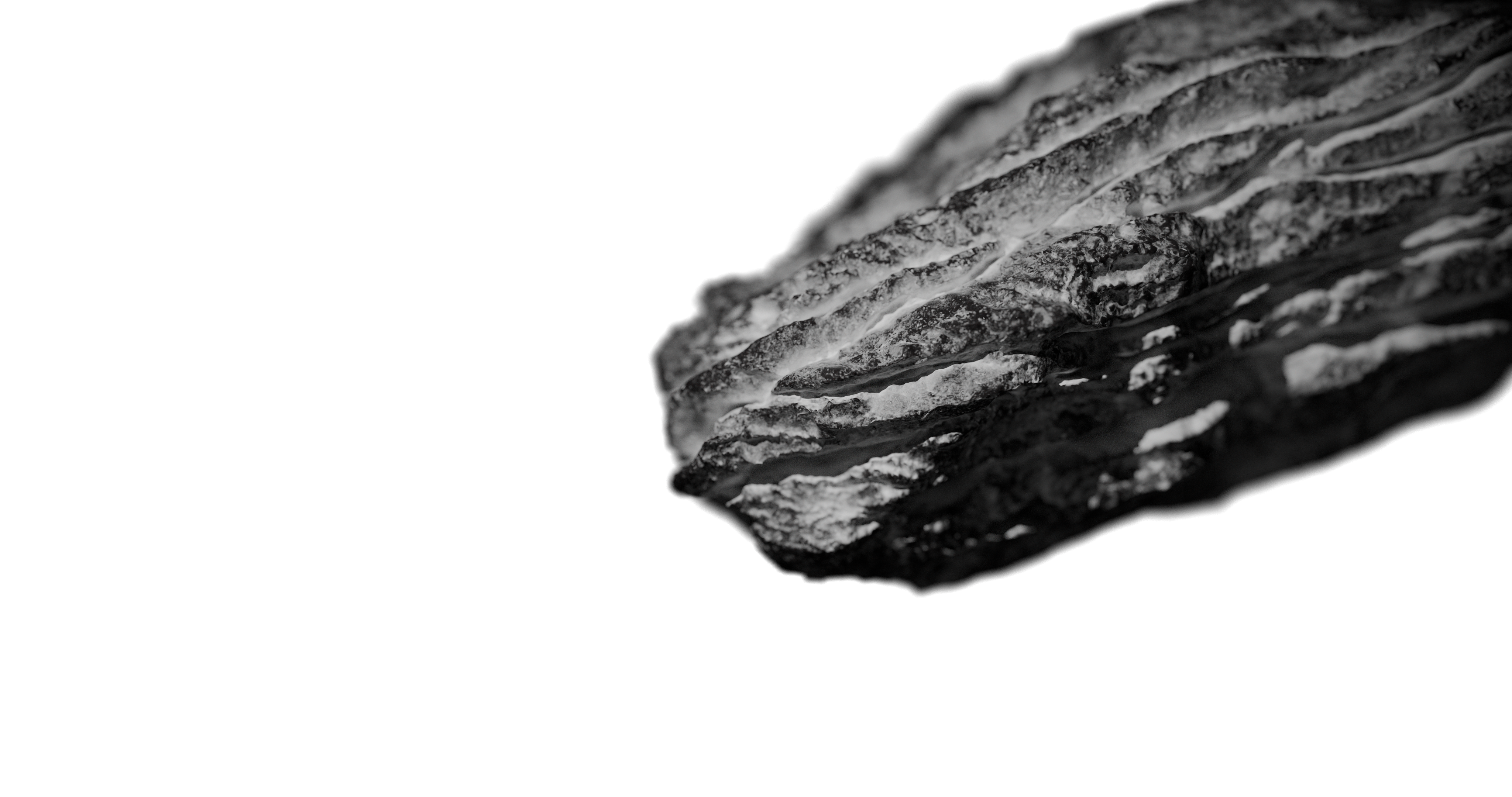 A stone on a white background